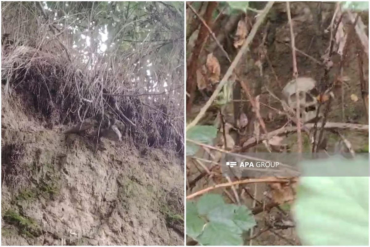 Human bones found in Azerbaijan’s Guba-PHOTO -VIDEO 
