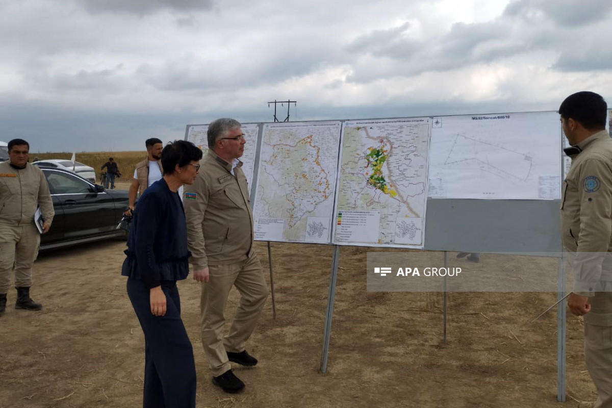 Over 227,000 hectares cleared of mines in Azerbaijan since Second Karabakh War