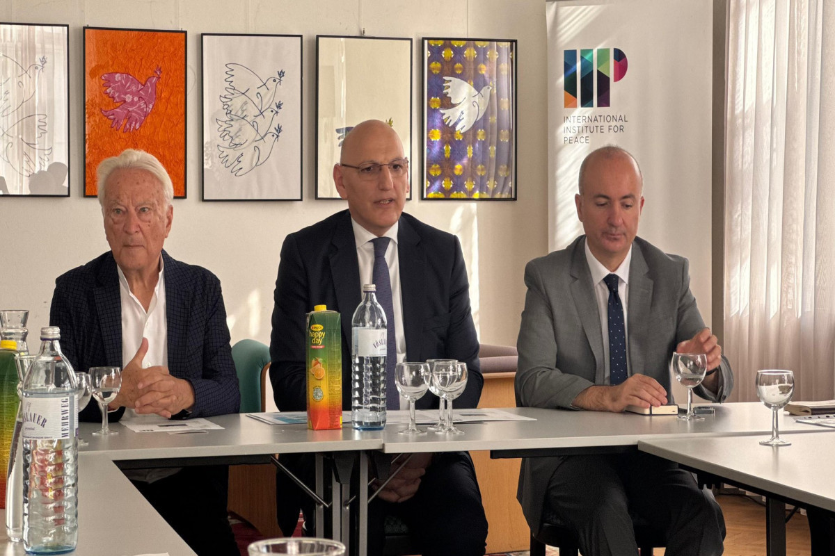 Azerbaijan’s Presidential Representative Elchin Amirbayov discussed EU-Azerbaijan relations in Austria