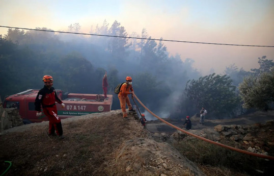 People who die fighting forest fires in Türkiye to be granted martyr status