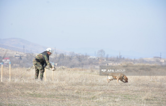 Azerbaijan approves requirements for mine clearance activities