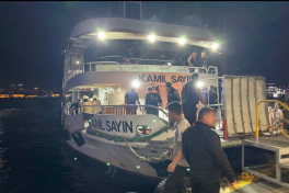 12 injured as passenger ferry hits Panama-flagged cargo ship in Bosphorus rush hour-UPDATED 