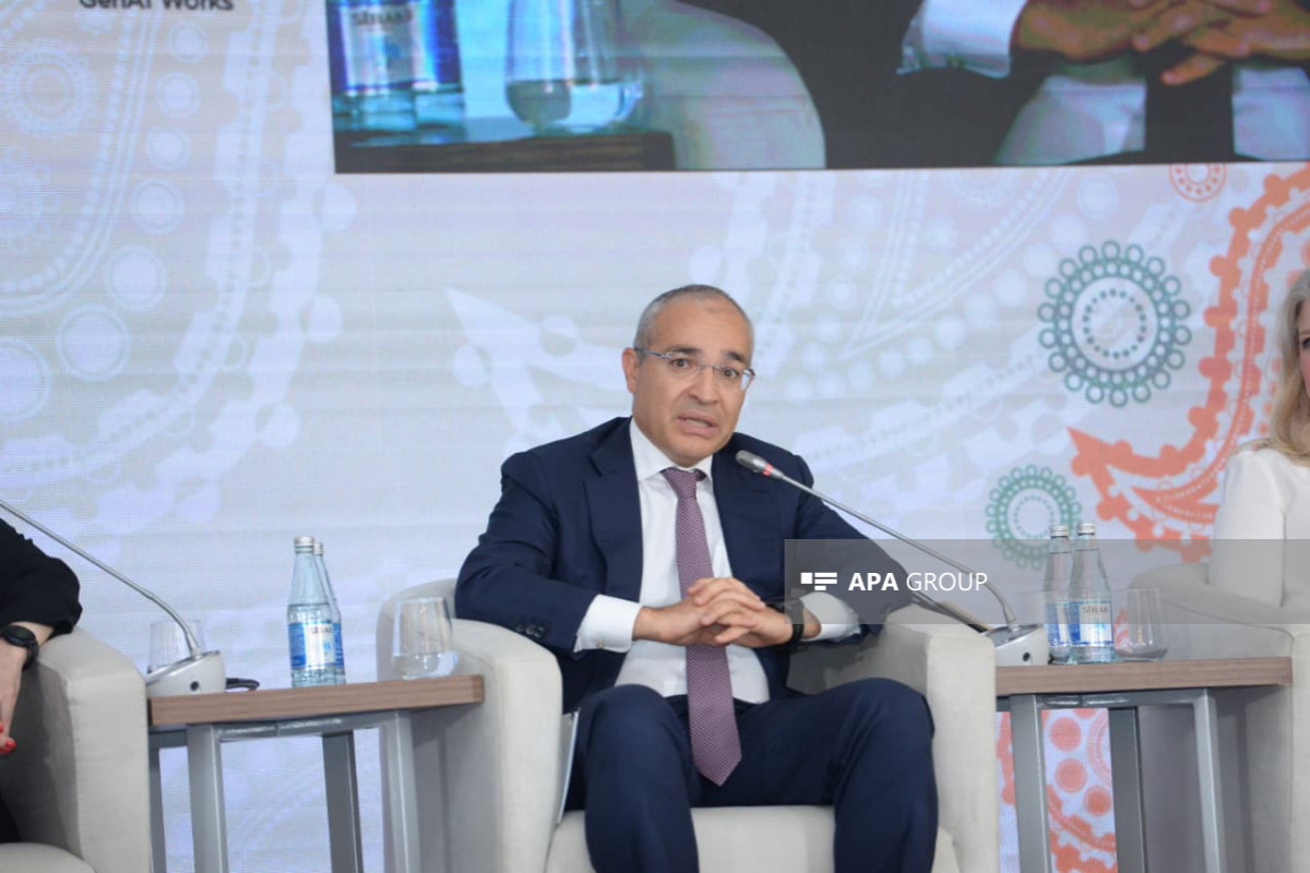 Mikayil Jabbarov, Minister of Economy