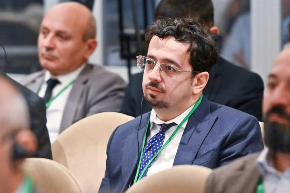 Deputy Director of the Topchubashov Center, Murad Muradov