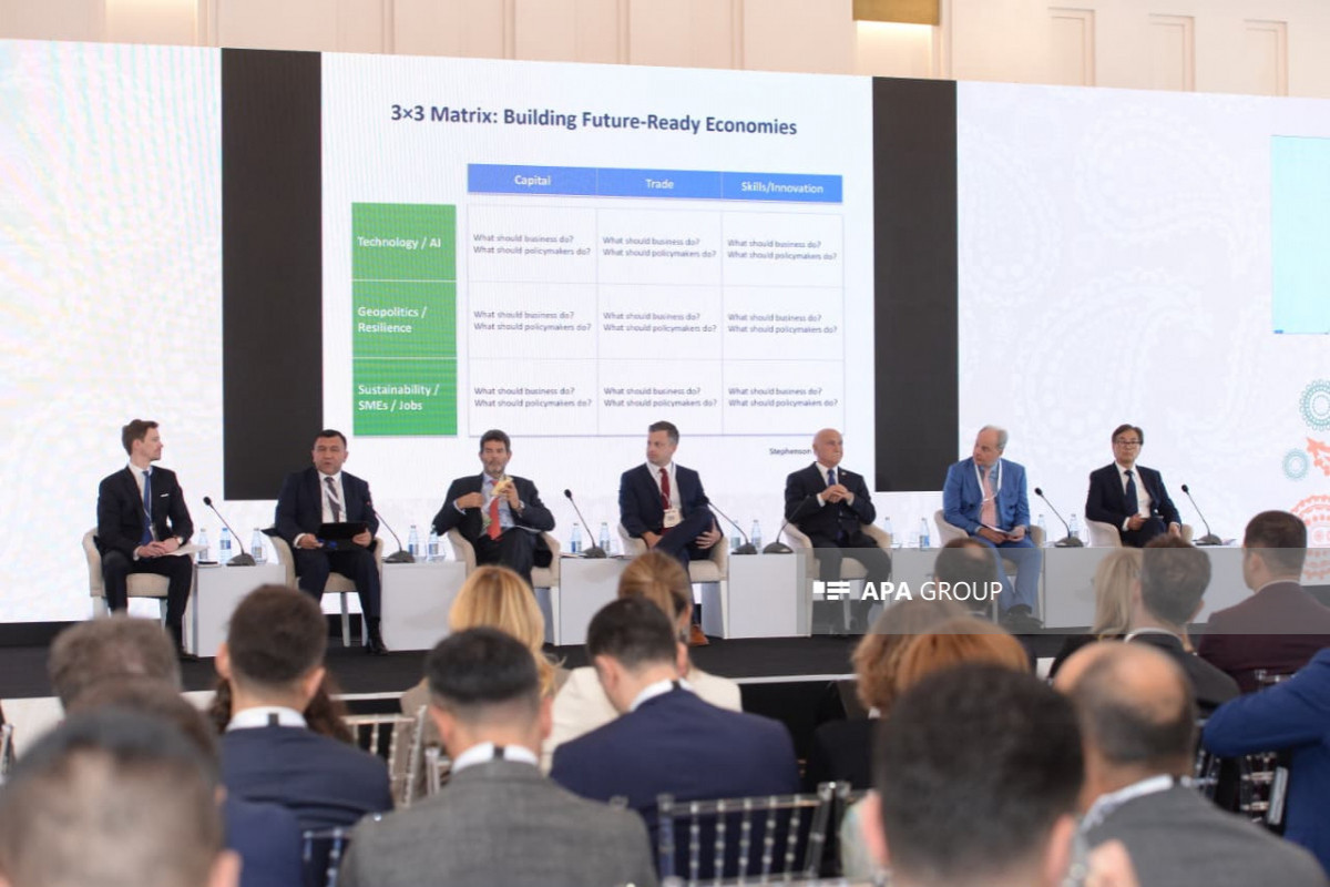 Harvard expert: Azerbaijan serves as example for developing countries
