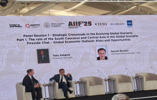 Nouriel Roubini: Azerbaijan is model of stability and good governance in region