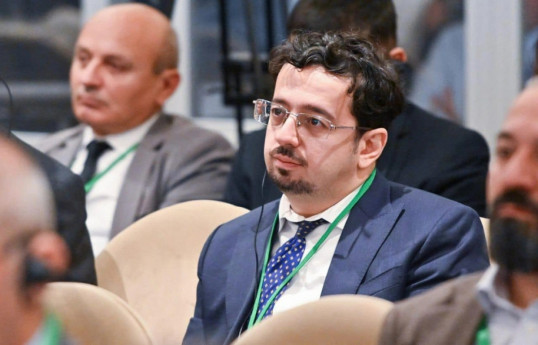 Deputy Director of the Topchubashov Center, Murad Muradov