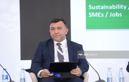 Samad Bashirli, Deputy Minister of Economy of the Republic of Azerbaijan
