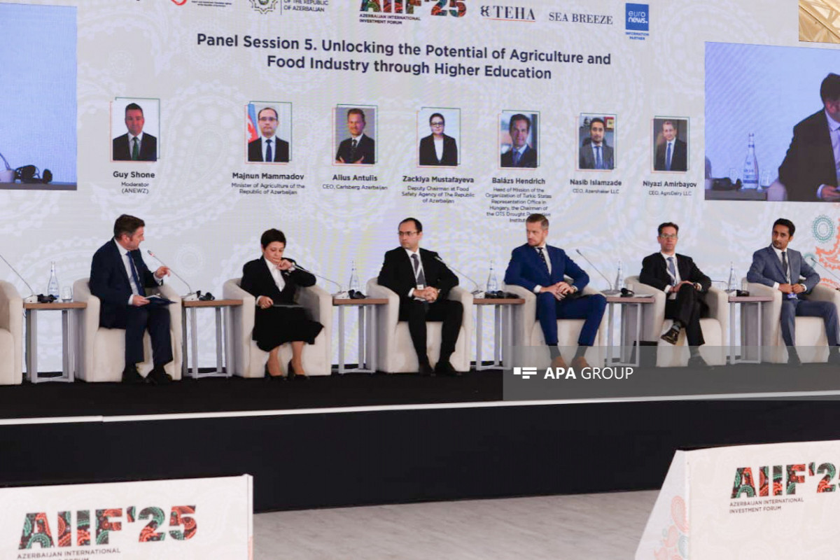 Many projects can be implemented in Azerbaijan, says Ninety One executive