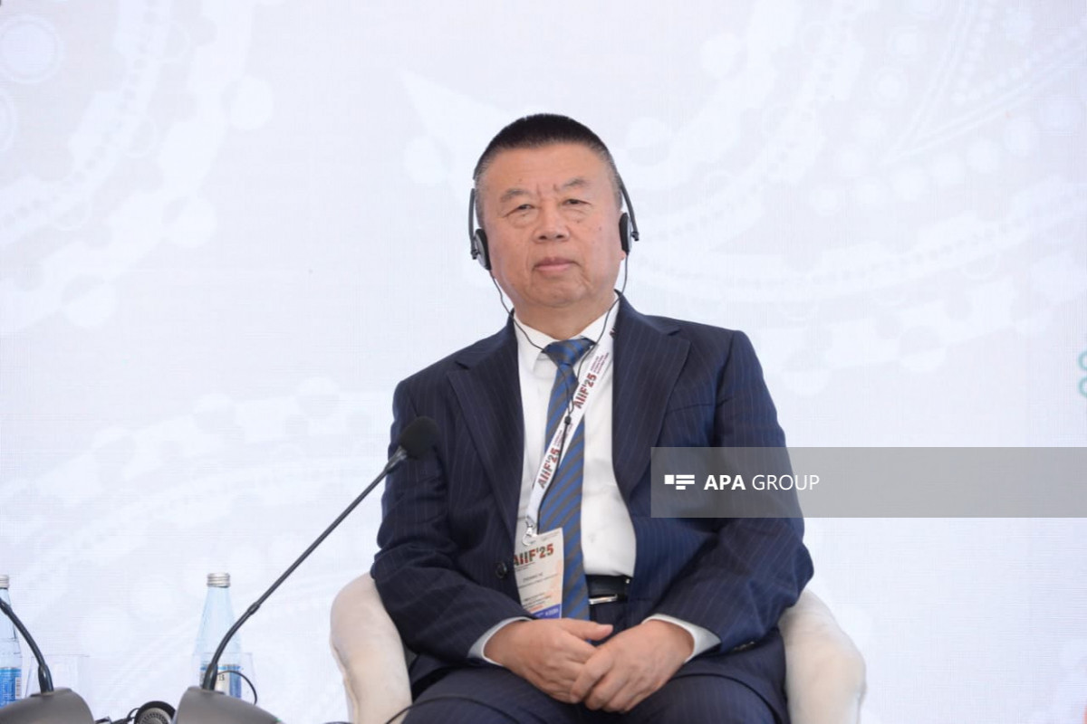 He Zhenwei, President of the China Overseas Development Association