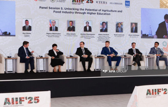 Many projects can be implemented in Azerbaijan, says Ninety One executive