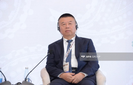 He Zhenwei, President of the China Overseas Development Association