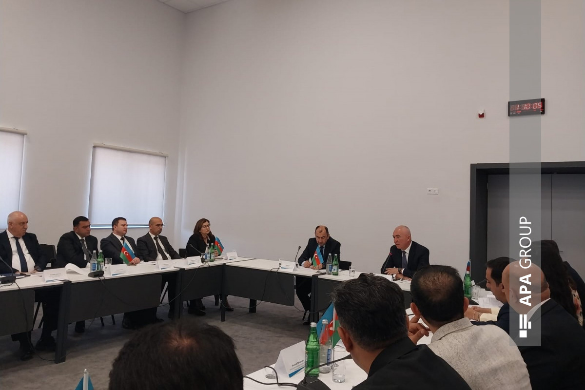 Deputy Minister: 132 hectares of new green areas  created in Zangilan, Jabrayil, Aghdam and Fuzuli districts