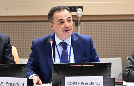 Azerbaijan to support African countries in climate diplomacy