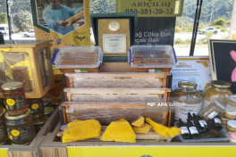 Kalbajar Honey Festival 2025 held to promote local beekeeping and tourism -PHOTO 