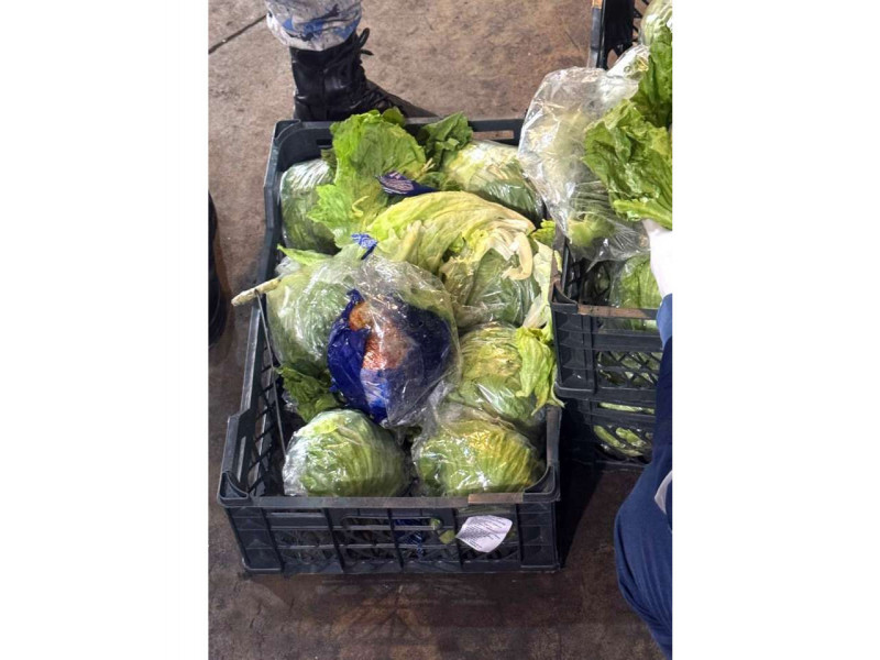 Azerbaijan customs seize nearly 29 kg of marijuana hidden under lettuce heading to Russia -VIDEO 