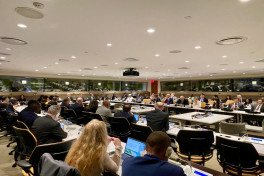 Azerbaijan to support African countries in climate diplomacy