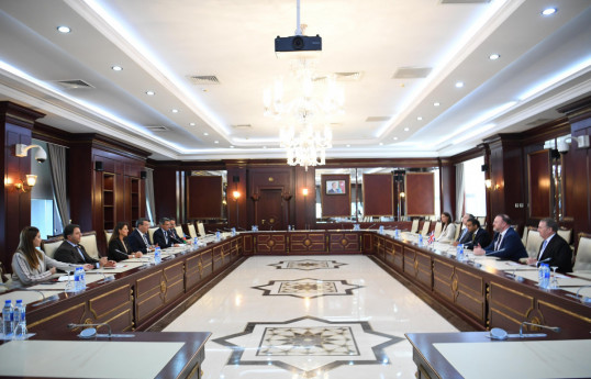 Azerbaijani parliament hosts UK delegation led by Lord Aamer Sarfraz