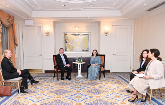 Vice-President of the Heydar Aliyev Foundation Leyla Aliyeva meets with Ales Musar, Spouse of the Slovenian President, in New York
