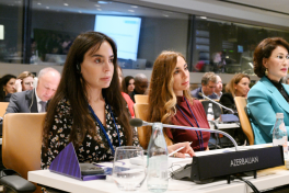 First Lady Mehriban Aliyeva participated in special session as part of UN General Assembly
