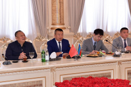 Chinese investors explore economic opportunities in Azerbaijan's Sumgait
