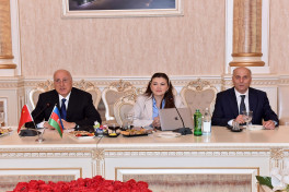 Chinese investors explore economic opportunities in Azerbaijan's Sumgait