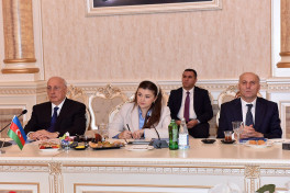 Chinese investors explore economic opportunities in Azerbaijan's Sumgait