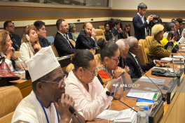 International conference on overseas territories held within framework of the 80th session of the UN General Assembly-PHOTO 