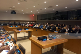 International conference on overseas territories held within framework of the 80th session of the UN General Assembly-PHOTO 