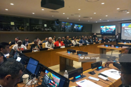 International conference on overseas territories held within framework of the 80th session of the UN General Assembly-PHOTO 