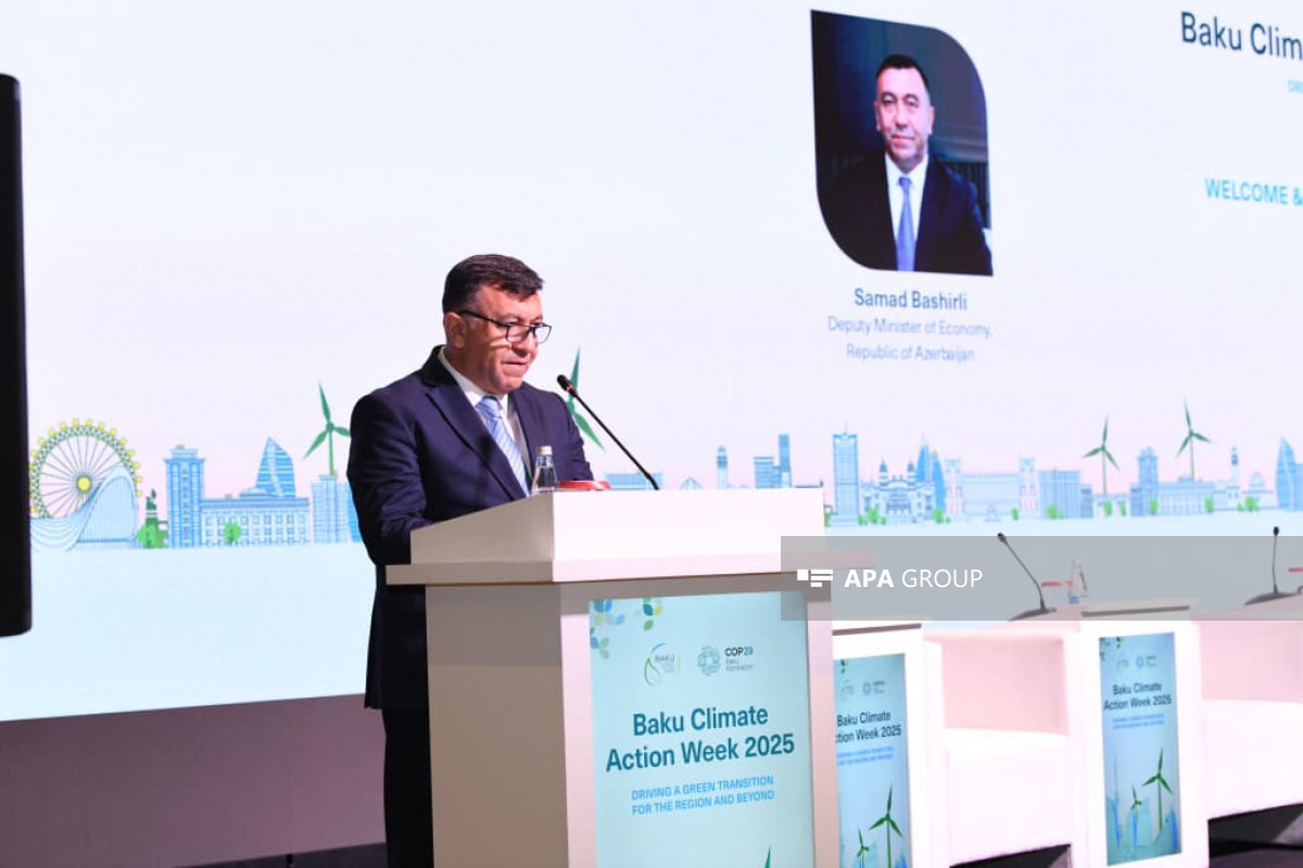 Samad Bashirli, Deputy Minister of Economy of Azerbaijan
