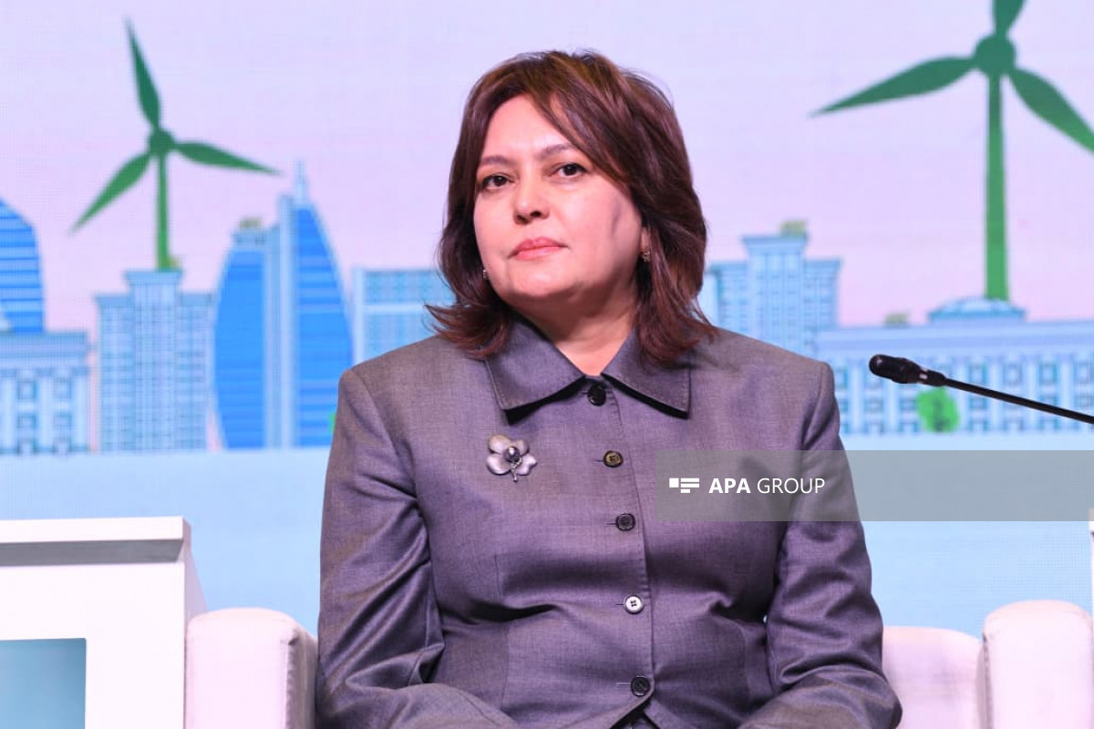 Umayra Taghiyeva, Deputy Minister of Ecology and Natural Resources