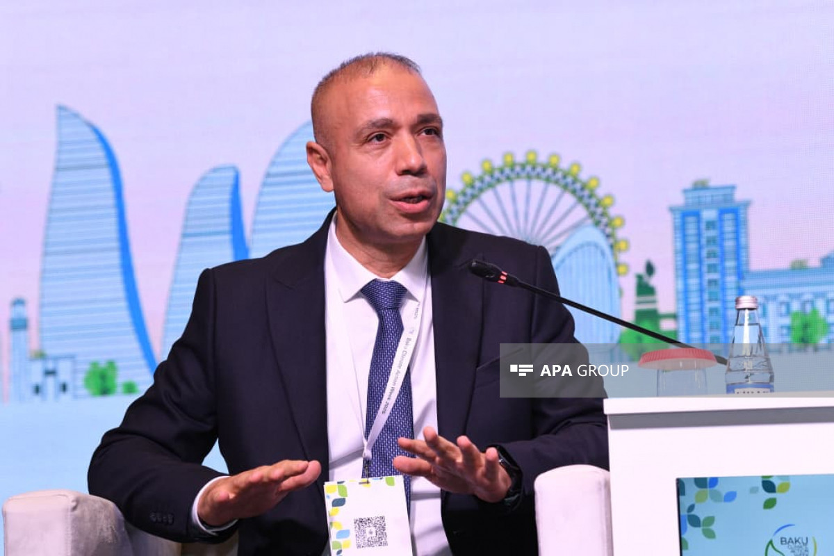 Deputy Minister of Energy Elnur Soltanov
