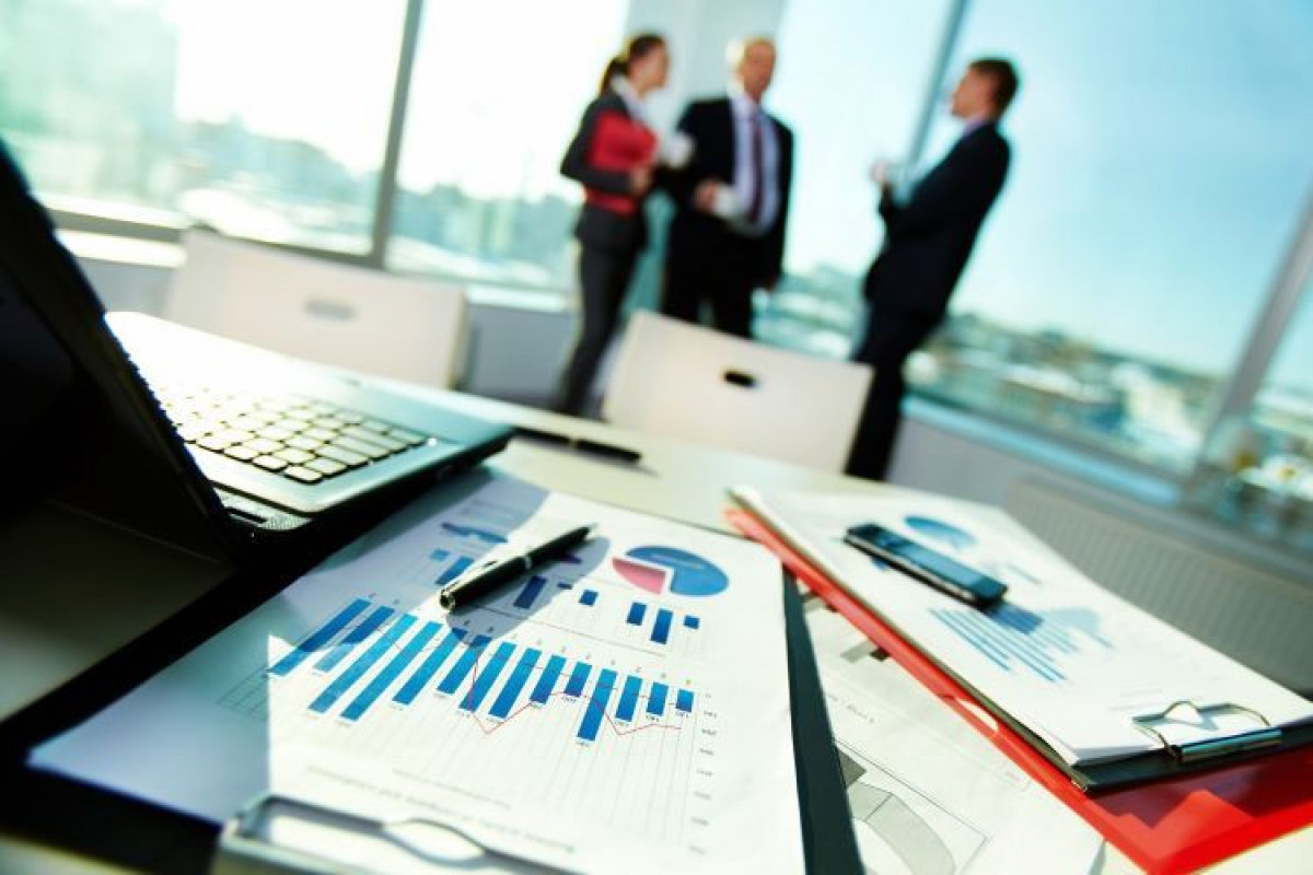 White Hill Capital: We will help Azerbaijani startups enter foreign markets