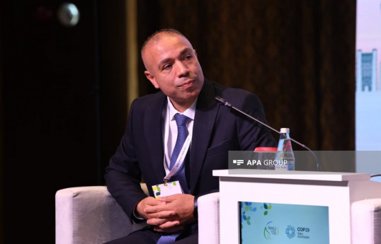 Elnur Soltanov, Deputy Minister of Energy of Azerbaijan