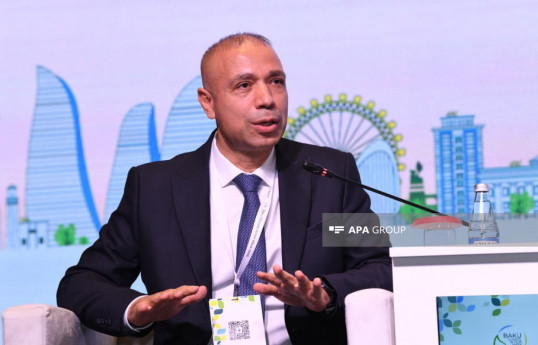 Deputy Minister of Energy Elnur Soltanov