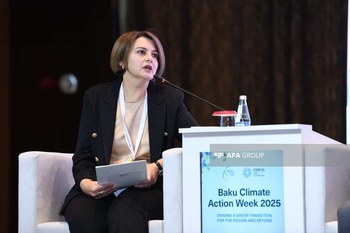 Rana Humbatova, deputy director of the Azerbaijan Renewable Energy Agency