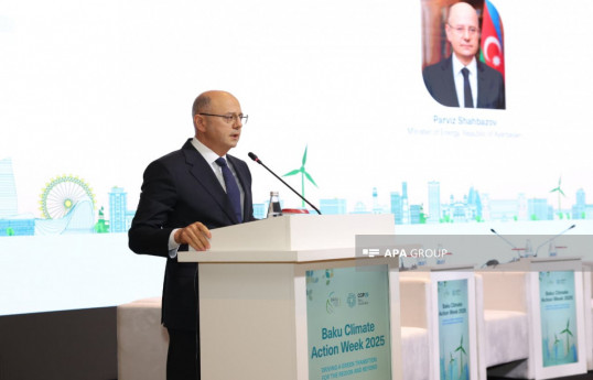 Azerbaijani Energy Minister Parviz Shahbazov