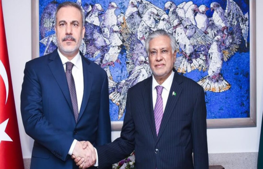 Hakan Fidan, Ishaq Dar