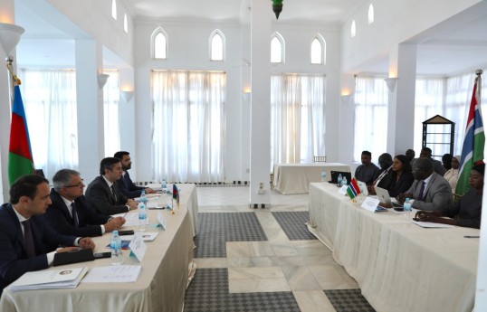 Foreign Ministries of Azerbaijan and Gambia hold first round of political consultations - PHOTO 