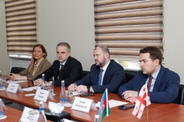 Azerbaijan, Georgia expand cooperation in international road transport