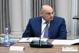 Azerbaijan’s Economic Council discussed issues raised by entrepreneurs