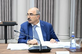 Azerbaijan’s Economic Council discussed issues raised by entrepreneurs