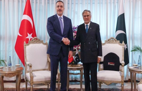 Hakan Fidan, Ishaq Dar