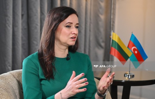 Prime Minister of the Republic of Lithuania, Inga Ruginienė