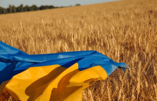 Ukraine says Russian ship carrying stolen grain docked at Haifa, asks Israel to detain it
