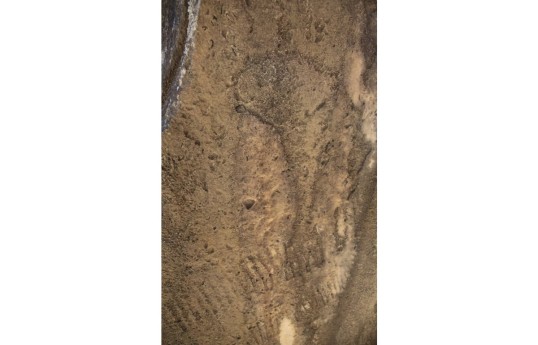 New petroglyphs uncovered in Gobustan National Reserve - PHOTO 