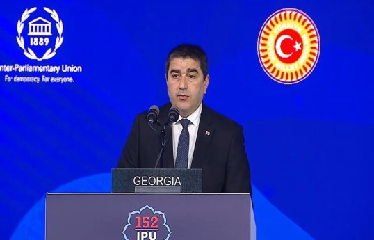 Speaker of the Georgian Parliament Shalva Papuashvili
