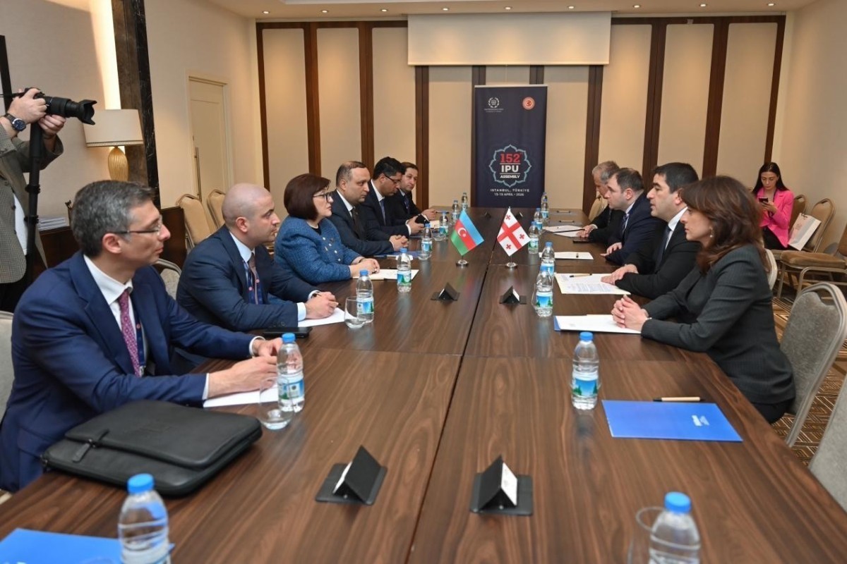 Speaker of Azerbaijani parliament meets with Georgian counterpart