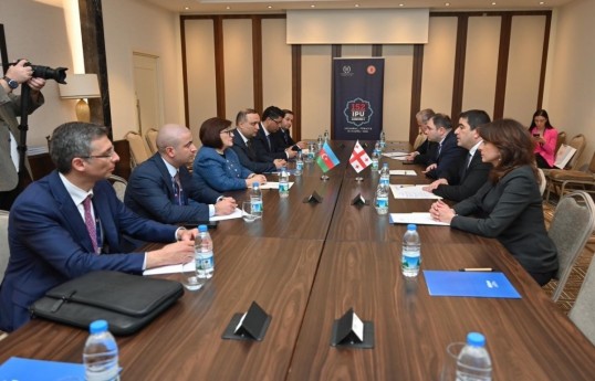 Speaker of Azerbaijani parliament meets with Georgian counterpart